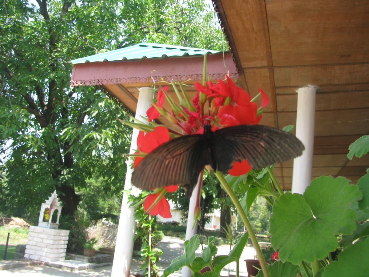 Tatva Bir Tents And Hotel Kangar Extérieur photo