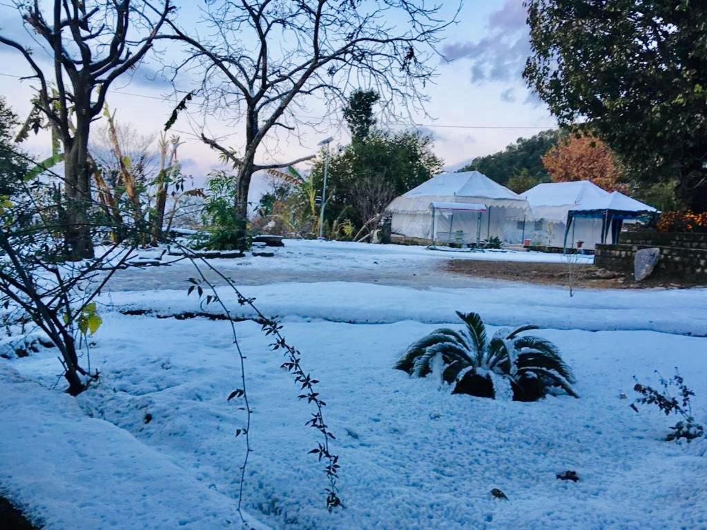 Tatva Bir Tents And Hotel Kangar Extérieur photo